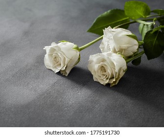 Beautiful White Roses On A Grey Stone Background. Funeral Symbol