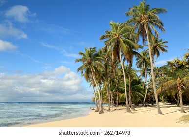 Beautiful white sand beach in Guadeloupe (France), Caribbean Islands