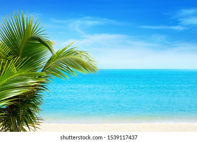 Plage Palmier Mer Images Stock Photos Vectors Shutterstock