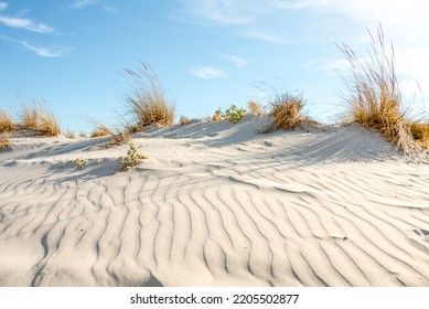 Beautiful White Sandy Hill With Tall Dry Grass Against A Blue Sky With Clouds