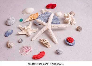 貝 サンゴ イラスト の写真素材 画像 写真 Shutterstock