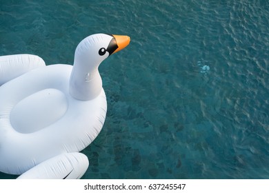 A Beautiful White Swan Pool Float On Emerald Clear Water. (with Copy Space)