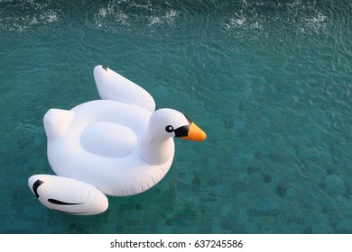 A Beautiful White Swan Pool Float On Emerald Clear Water. (with Copy Space)