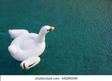 A beautiful white swan pool float on emerald clear water. (with copy space)
