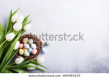 Beautiful white tulips with colorful quail eggs in nest on light gray stone background. Spring and Easter holiday concept with copy space.