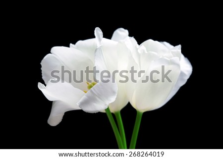 Similar – Image, Stock Photo row arrangement Plant