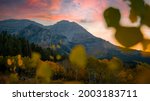 Beautiful wide landscape of a golden yellow and green aspen tree forest with a large rocky mountain in the background up the famous alpine loop near Provo, Utah during a warm autumn sunset in October