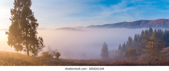 Wide Nature Images, Stock Photos Vectors Shutterstock