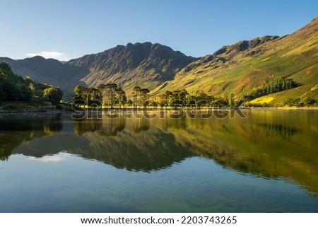 Beautiful wide view of group of trees on the shoreline of Buttermere on a calm Summer morning with reflections in water. Lake District, UK.