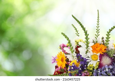 Beautiful Wild Flowers Outdoors On Sunny Day, Space For Text. Bokeh Effect