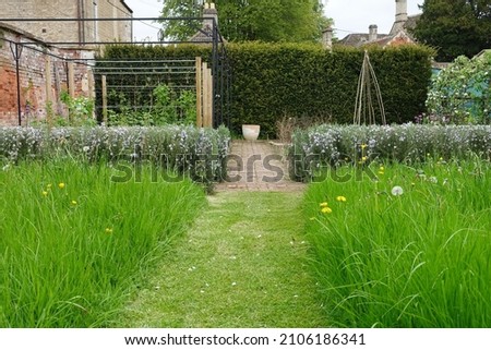 Beautiful Wild Garden with a Grass Mowed Lawn Path