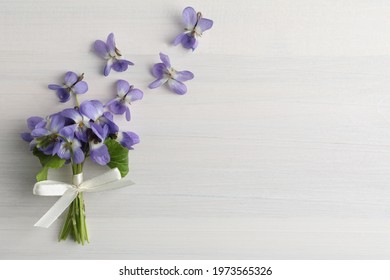 Beautiful wild violets and space for text on white wooden table, flat lay. Spring flowers Stockfoto
