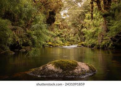 Beautiful, wild and virgin forest in the heart of Costa Rica. Dense, green jungle and landscape views. - Powered by Shutterstock