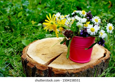 Beautiful Wildflowers Bucket Stock Photo 1504158551 | Shutterstock