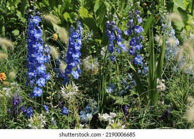 Beautiful Wildflowers, Perfect Tablet Wallpaper