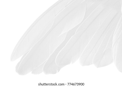 Realistic Detailed 3d White Cloaks Costume Stock Vector (Royalty Free ...