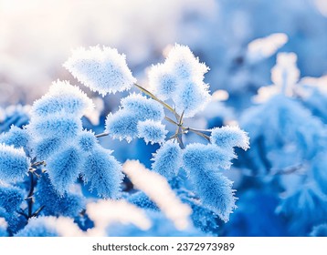 Beautiful winter background with close up frosted leaves and morning sunlight with bokeh background. Blue tone. - Powered by Shutterstock