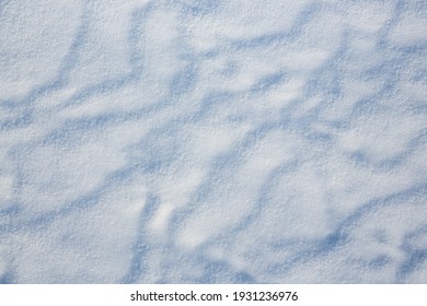 Beautiful Winter Background With Snowy Ground. Natural Snow Texture. Wind Sculpted Patterns On Snow Surface. 