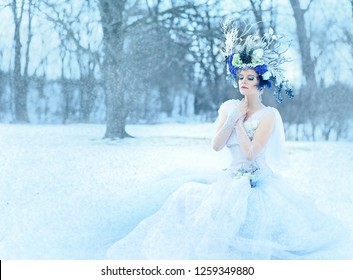 Snow Queen Images Stock Photos Vectors Shutterstock