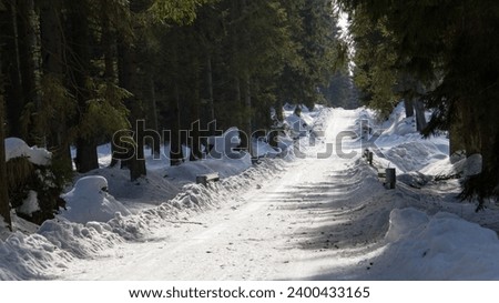Beautiful Winter Forest Landscape With Mountains In The Distance. Western Tatra Mountains In Polen