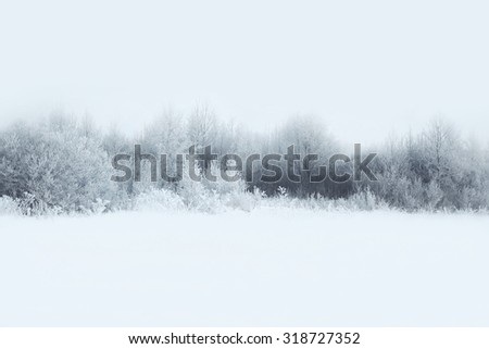 Similar – Image, Stock Photo powder forest Environment