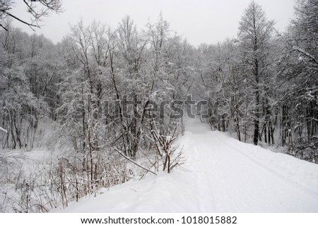 Similar – Image, Stock Photo Tracks in the snow Winter