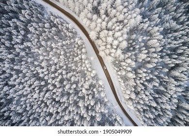 Beautiful winter forest and road. Aerial view