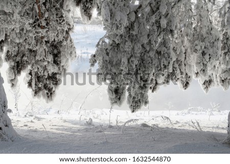 Similar – Foto Bild OH BÄUMEBAUM OH BÄUMEBAUM