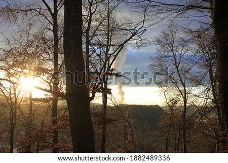a beautiful winter forest with trees and blue sky