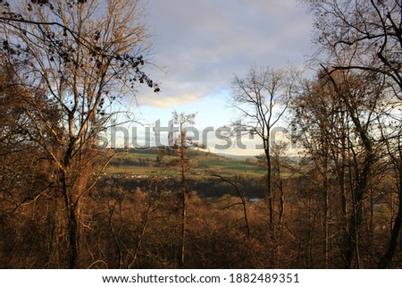 a beautiful winter forest with trees and blue sky