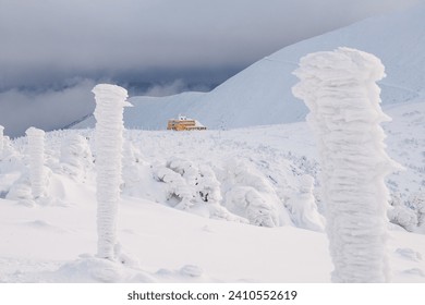 A beautiful winter in the Karkonosze Mountains, heavy snowfall created an amazing climate in the mountains. Poland, Lower Silesia Voivodeship.v - Powered by Shutterstock