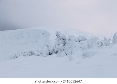 A beautiful winter in the Karkonosze Mountains, heavy snowfall created an amazing climate in the mountains. Poland, Lower Silesia Voivodeship.v - Powered by Shutterstock