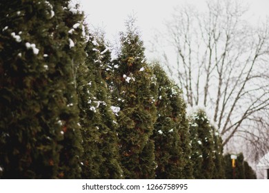 beautiful winter landscape - Shutterstock ID 1266758995