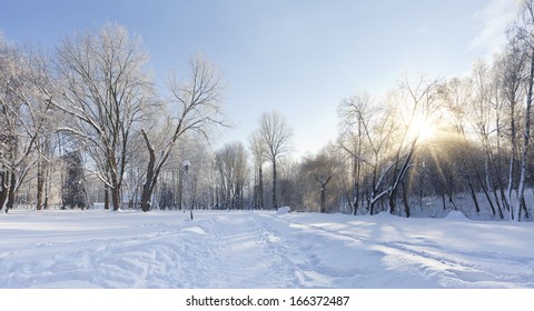 Beautiful Winter Landscape In The City Park