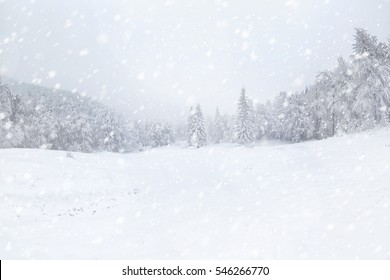 Beautiful Winter Landscape During Snow Storm