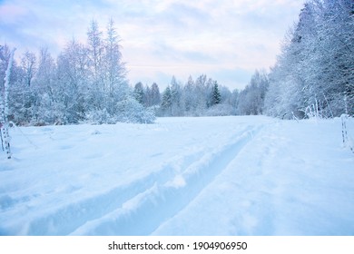 Beautiful Winter Landscape With Field Of White Snow And Forest On Horizon On Sunny Frosty Day