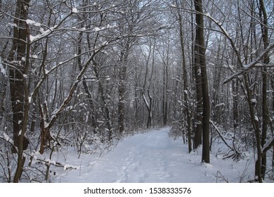 Beautiful winter landscape in the forest. Road outside the city and snowfall. Snowdrifts in the park and uncleaned street. Christmas and New Year background - Shutterstock ID 1538333576