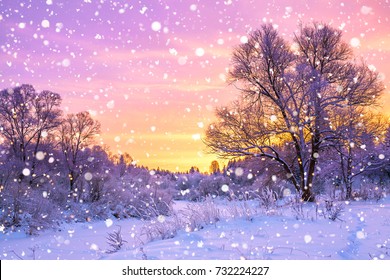 beautiful winter landscape with forest, trees and sunrise. winterly morning of a new day. purple winter landscape with sunset - Shutterstock ID 732224227