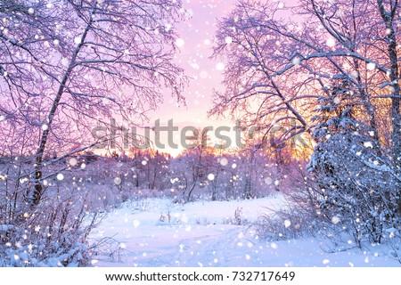 beautiful winter landscape with forest, trees and sunrise. winterly morning of a new day. purple winter landscape with sunset