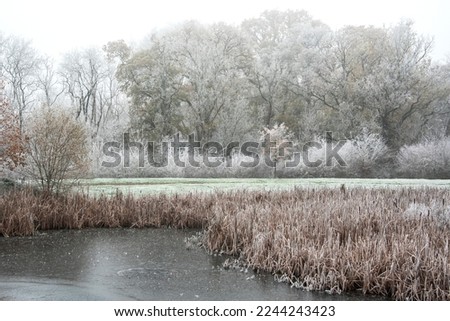 Similar – zeitlos | Himmelgrau Teich