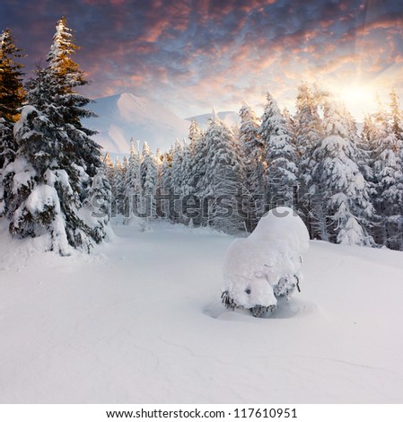 Similar – Image, Stock Photo Evening impression on the mountain