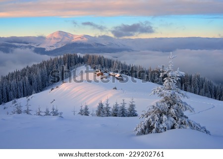 Similar – winter landscape Forest