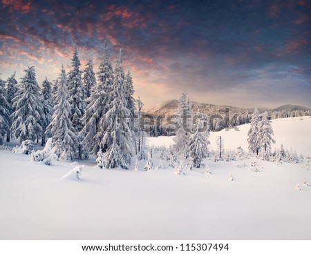 Similar – Image, Stock Photo Evening impression on the mountain