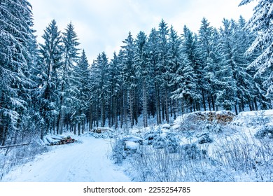 Beautiful winter landscape on the heights of the Thuringian Forest near Oberhof - Thuringia - Germany - Shutterstock ID 2255254785