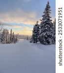 a beautiful winter landscape on the ski slope with a wonderful view through the fir trees