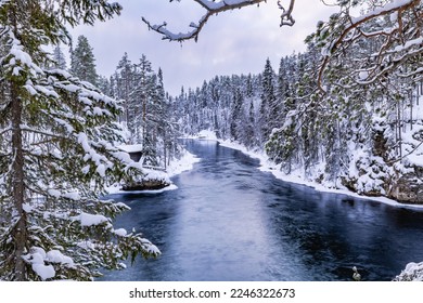 Beautiful winter landscape. Oulanka National Park, Finland