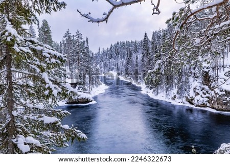 Beautiful winter landscape. Oulanka National Park, Finland