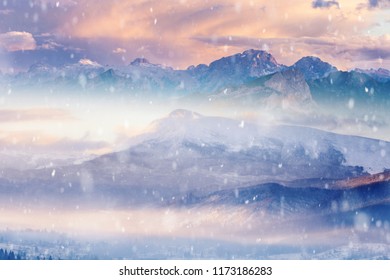 Beautiful winter landscape with snow covered trees and mountains on background - Shutterstock ID 1173186283