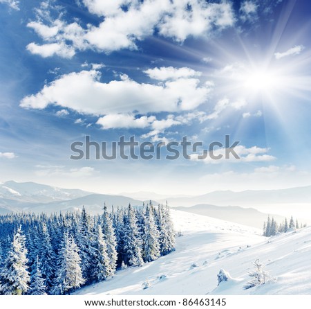Beautiful winter landscape with snow covered trees