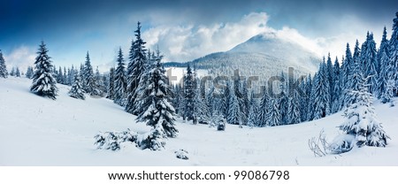 Beautiful winter landscape with snow covered trees